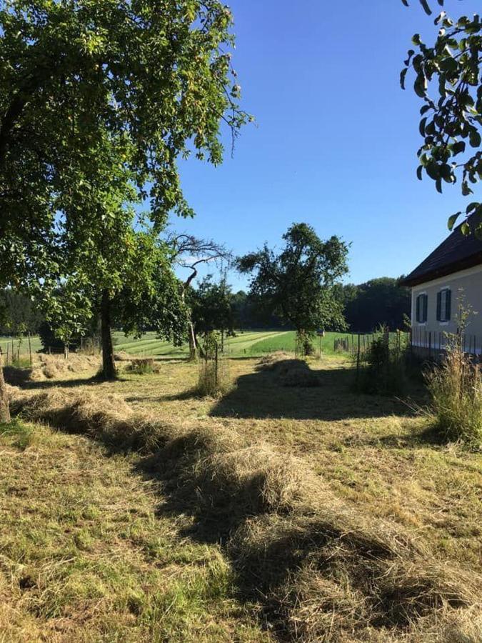 Kellerstoeckl-Am-Veganen-Bio-Lebenshof-Nur-Fuer-Hundefreunde-Empfohlen Villa Sulb Exterior photo