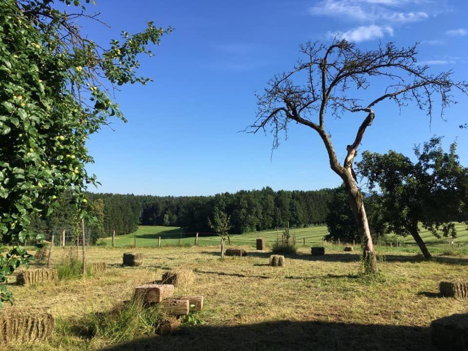 Kellerstoeckl-Am-Veganen-Bio-Lebenshof-Nur-Fuer-Hundefreunde-Empfohlen Villa Sulb Exterior photo